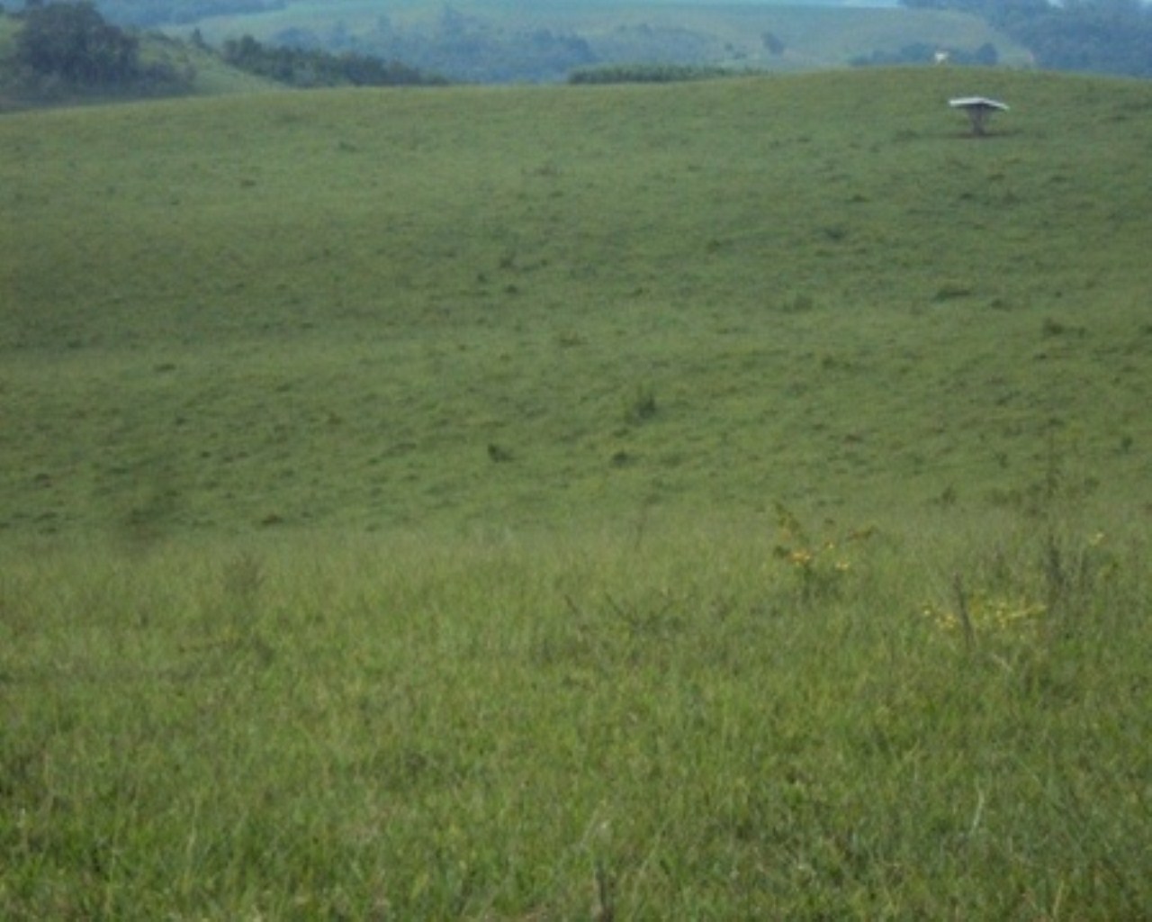 Fazenda à venda - Foto 3