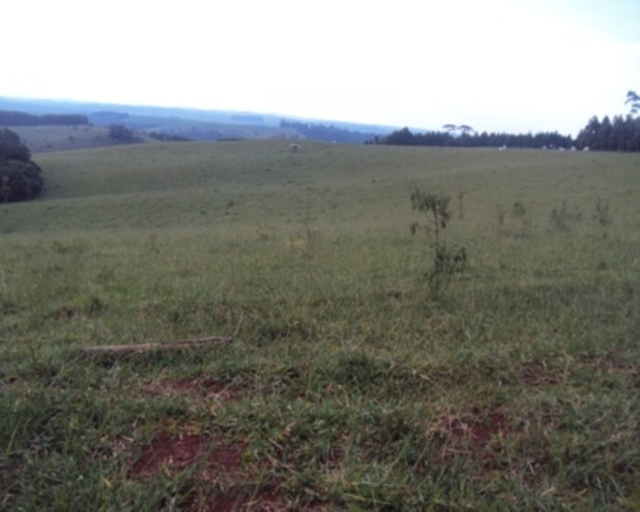 Fazenda à venda - Foto 4