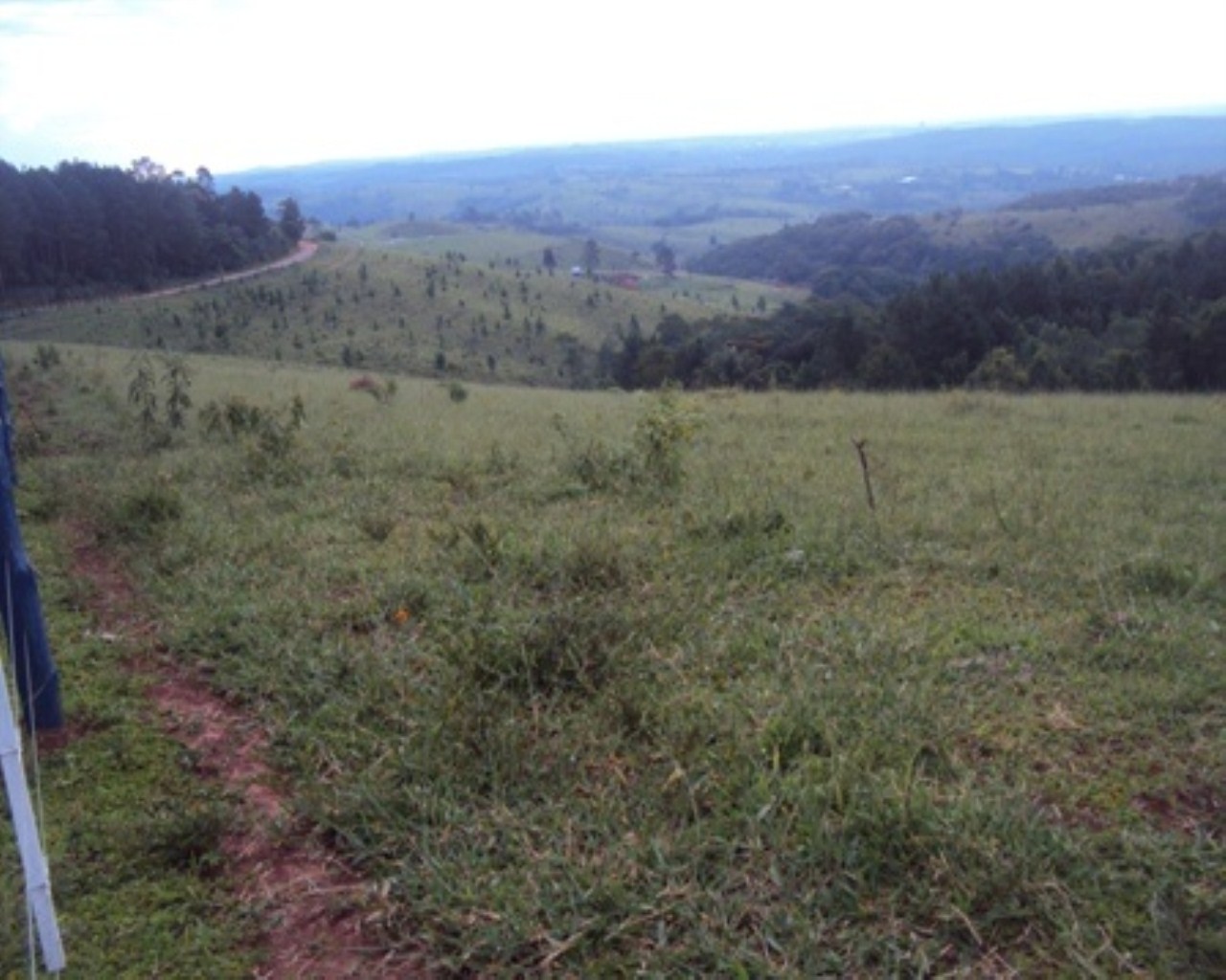 Fazenda à venda - Foto 5