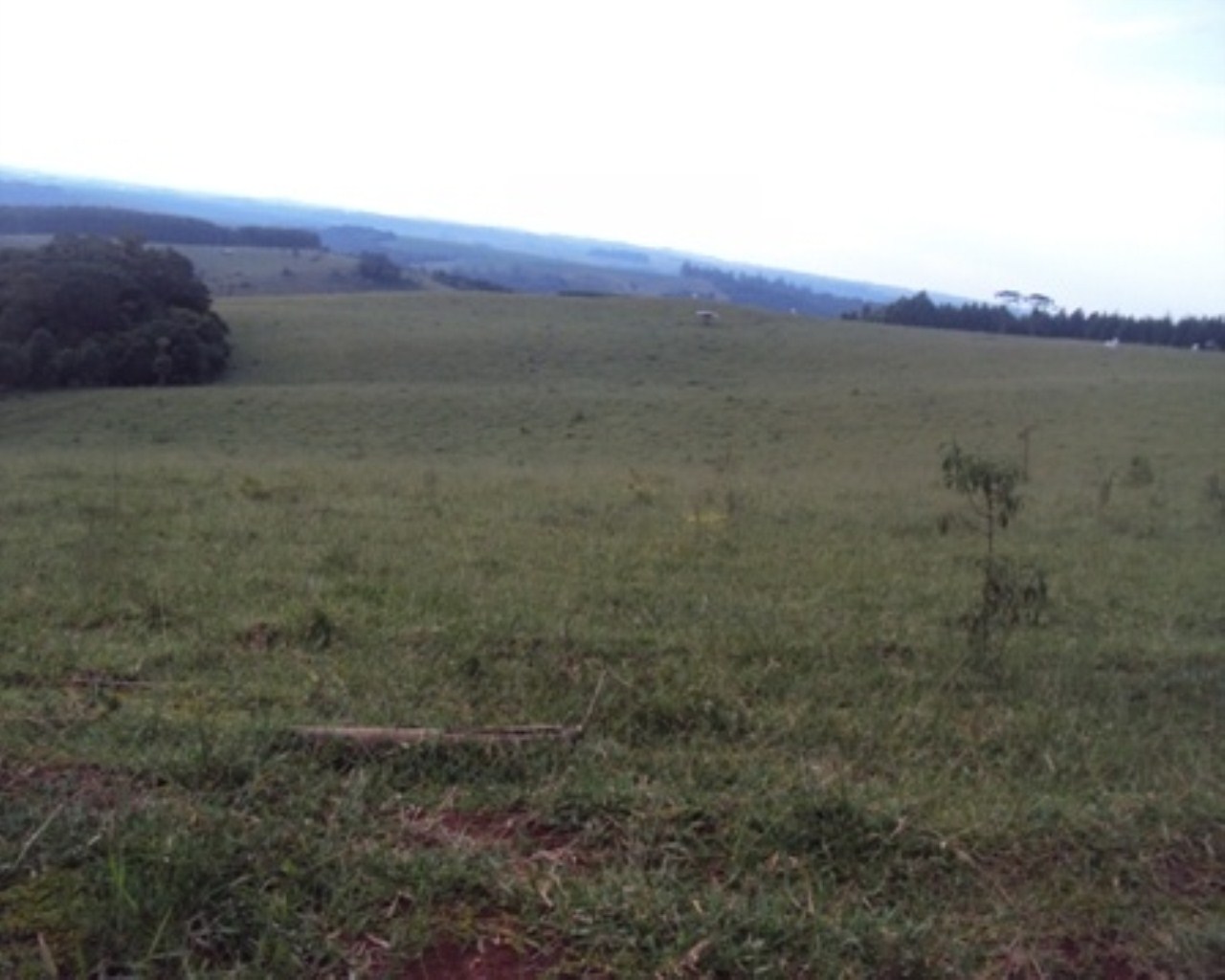 Fazenda à venda - Foto 6