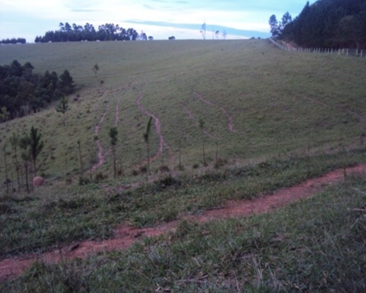 Fazenda à venda - Foto 7