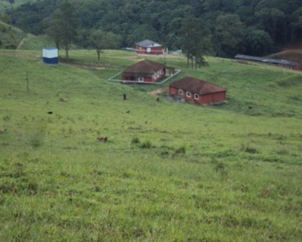 Fazenda à venda - Foto 8