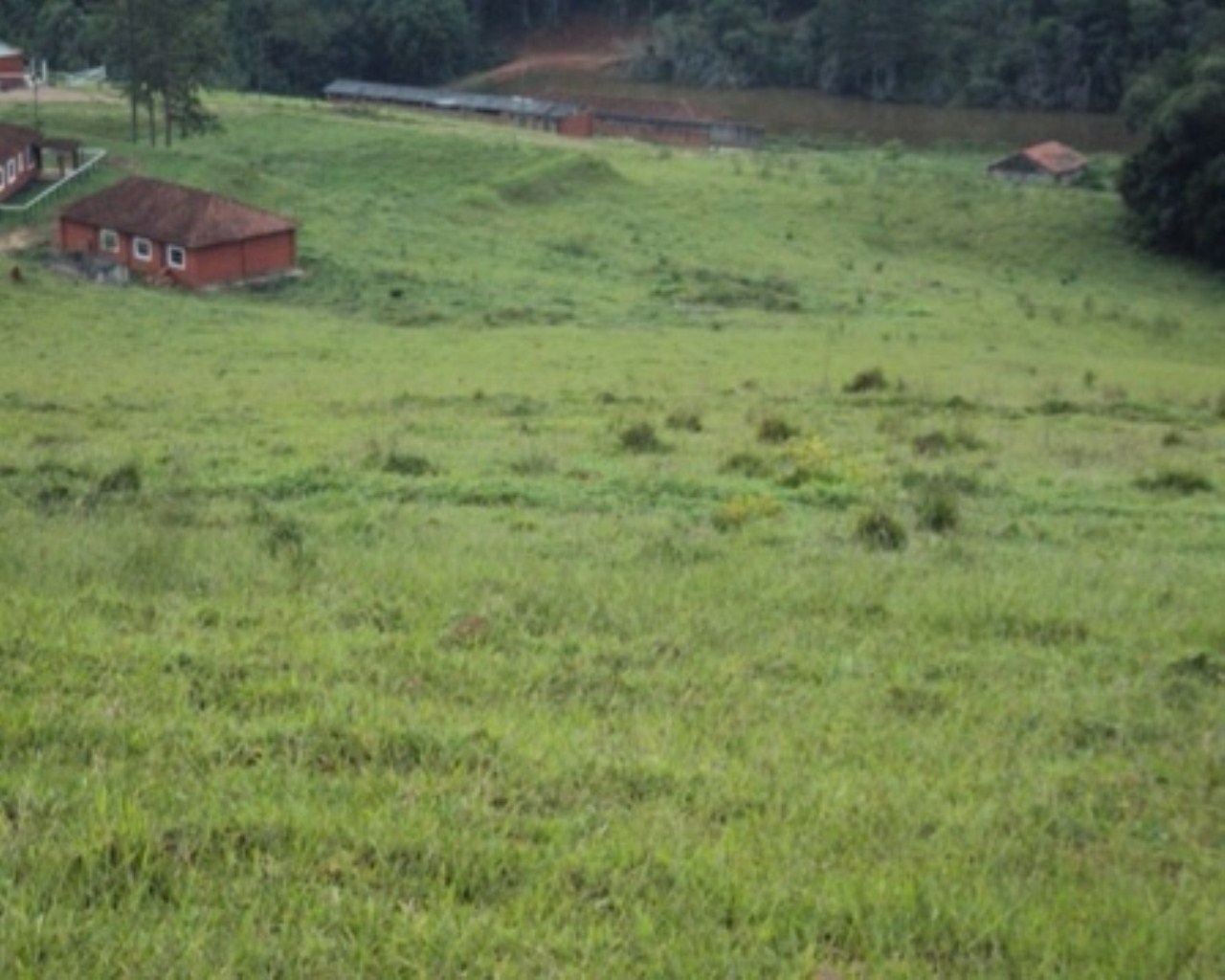 Fazenda à venda - Foto 9