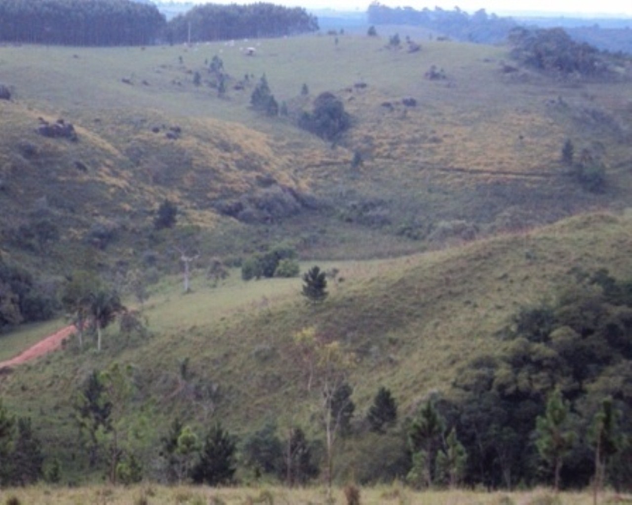 Fazenda à venda - Foto 10