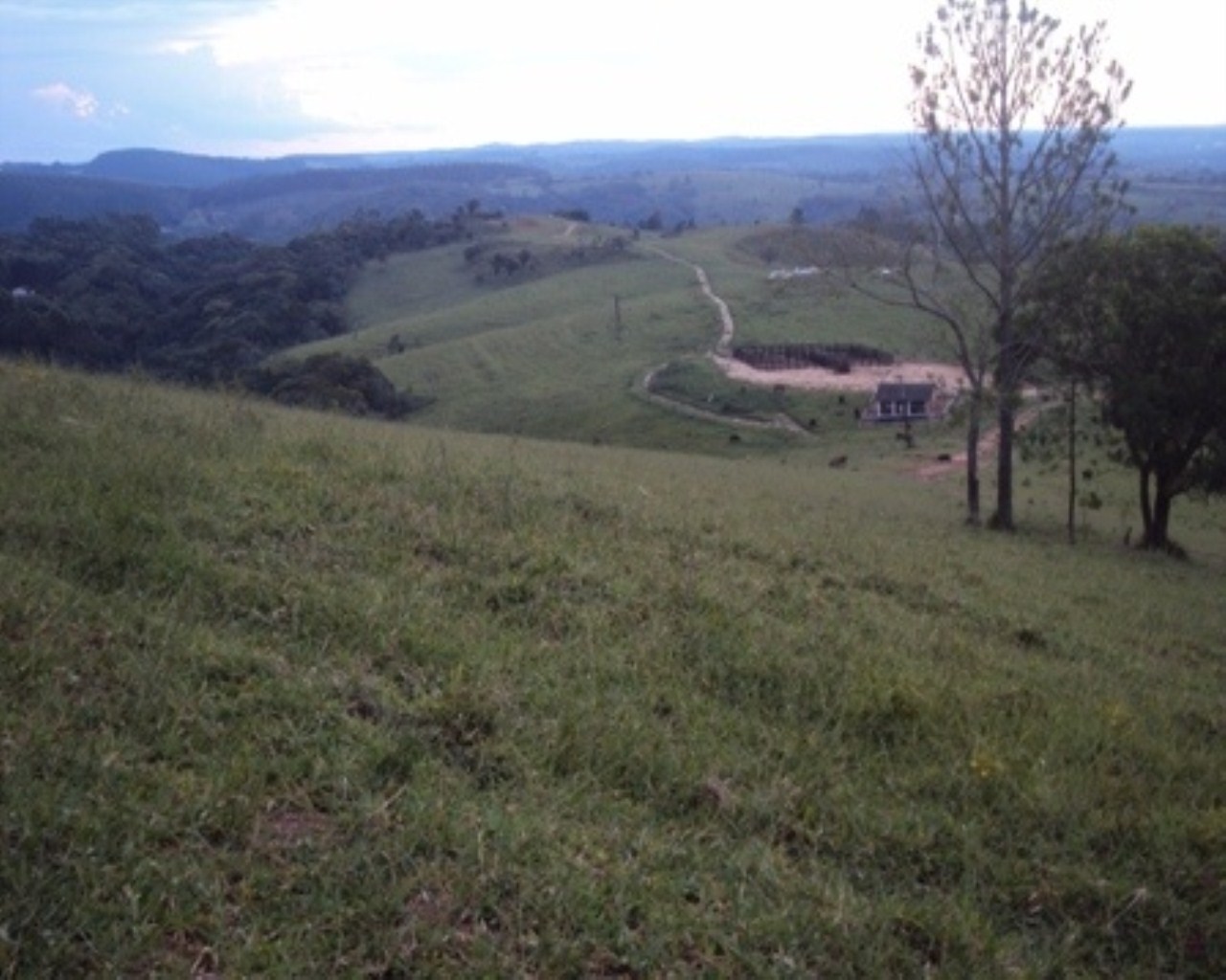 Fazenda à venda - Foto 12