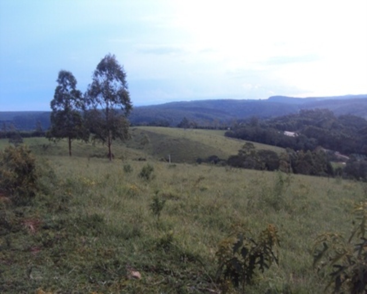 Fazenda à venda - Foto 17