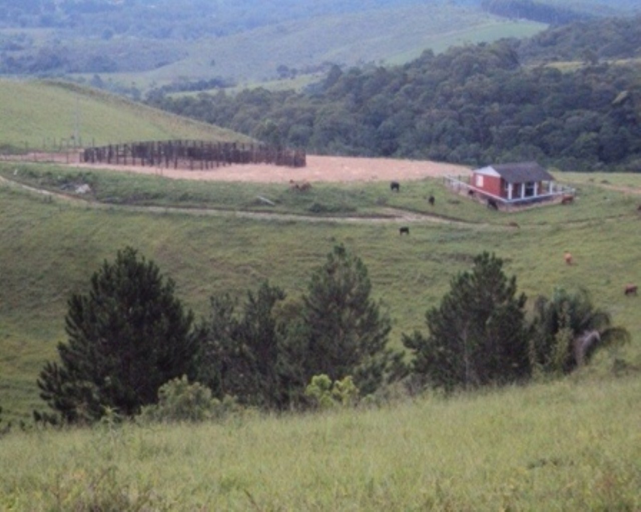 Fazenda à venda - Foto 18