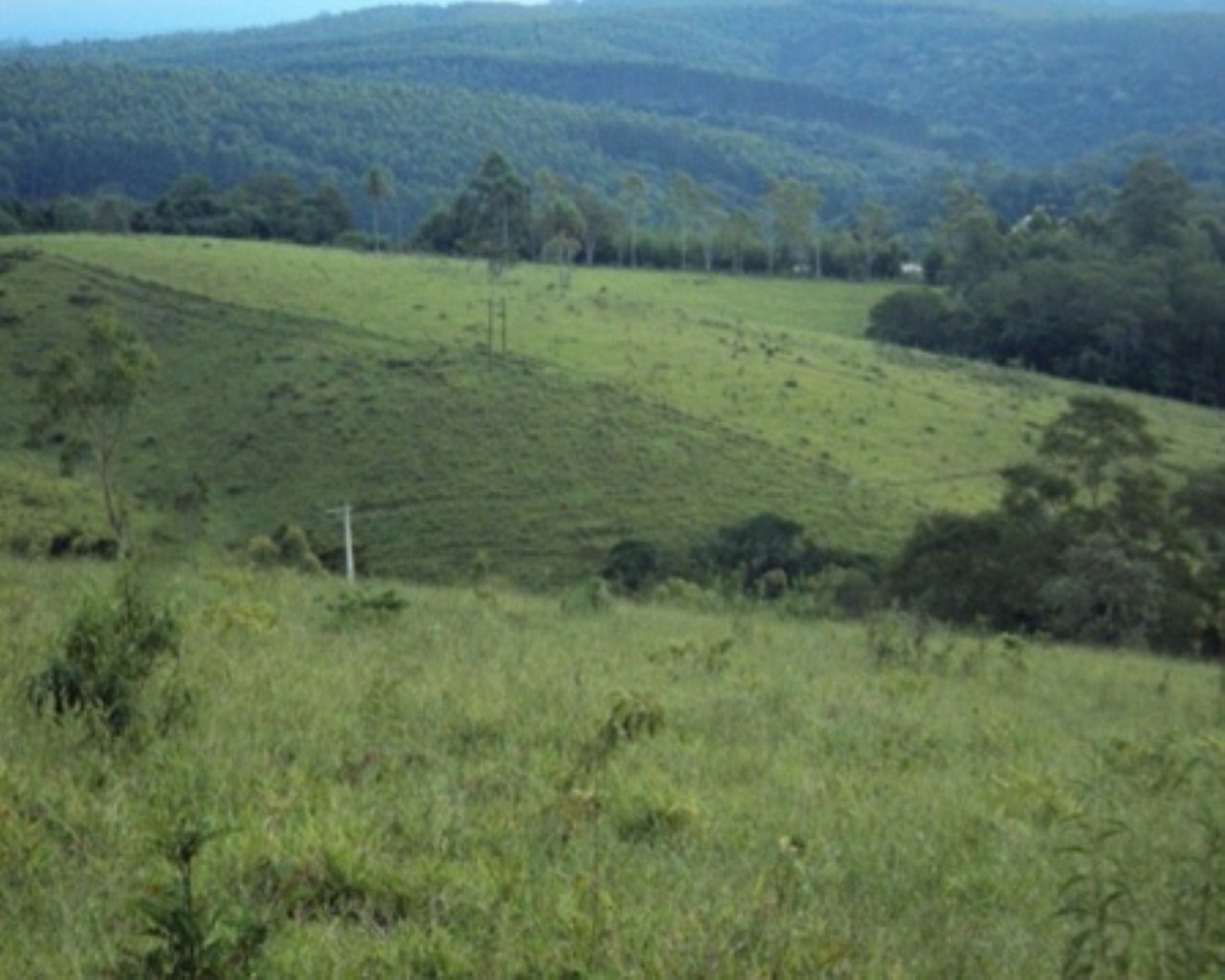 Fazenda à venda - Foto 20