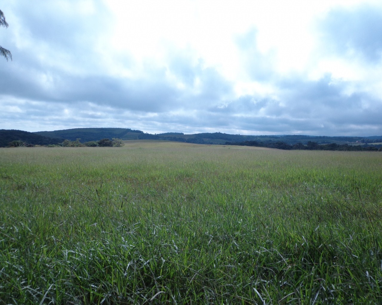 Fazenda à venda - Foto 21