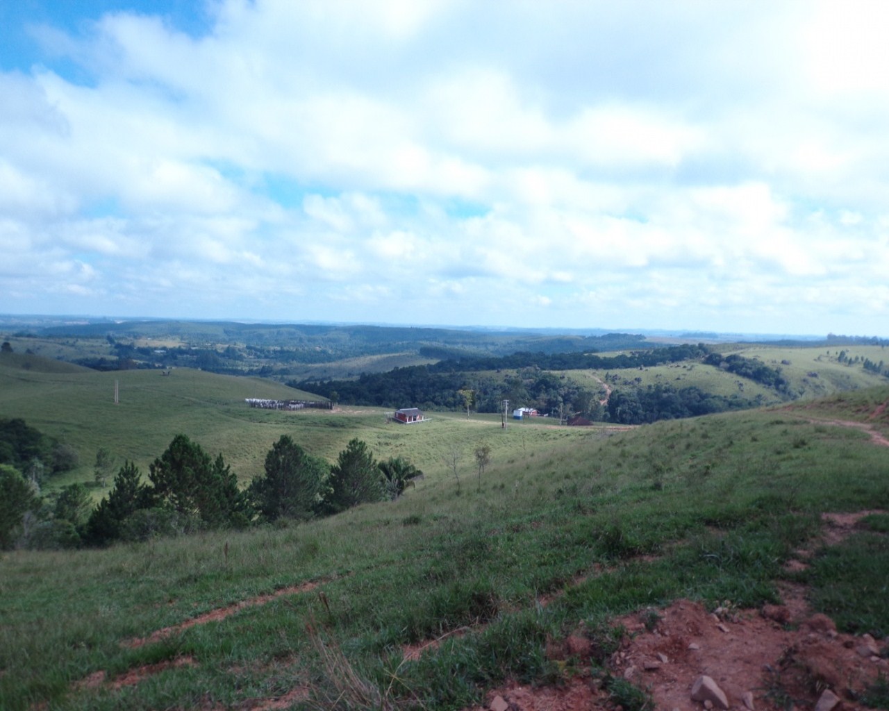 Fazenda à venda - Foto 22