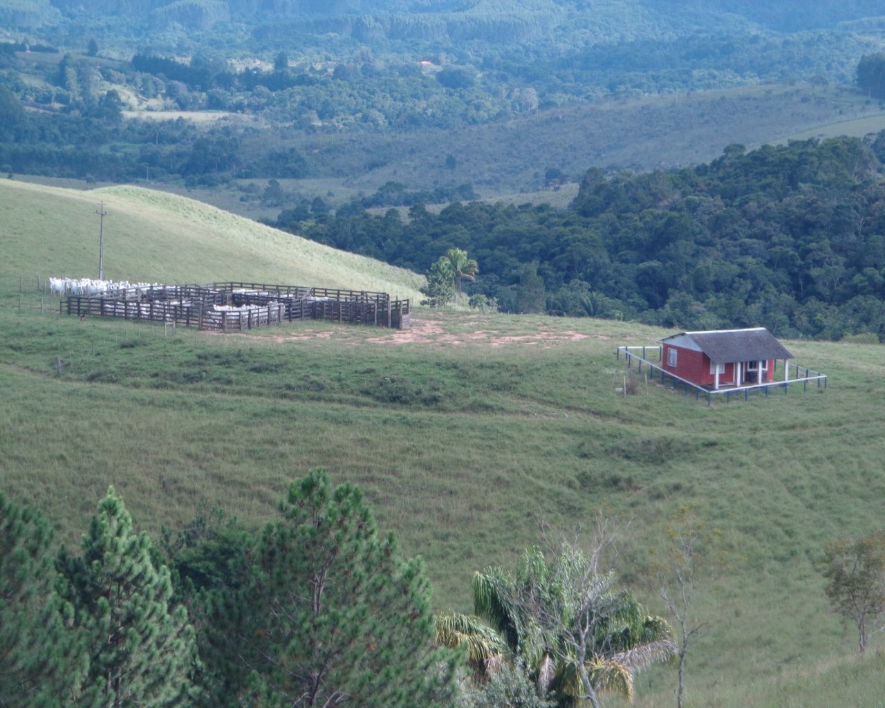 Fazenda à venda - Foto 27