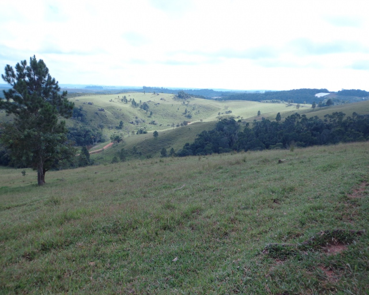 Fazenda à venda - Foto 34