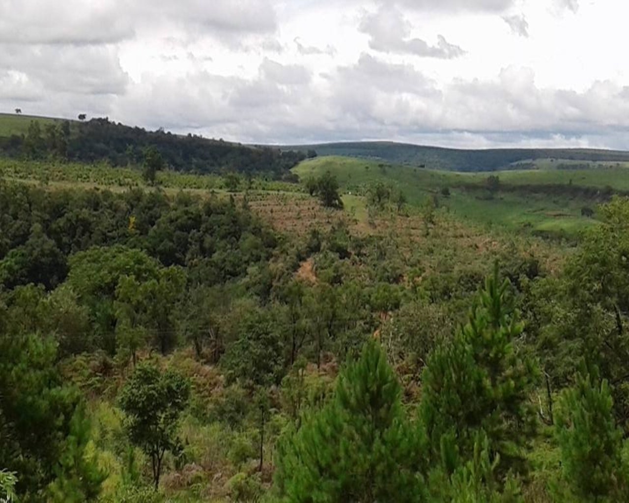 Fazenda - Foto 2