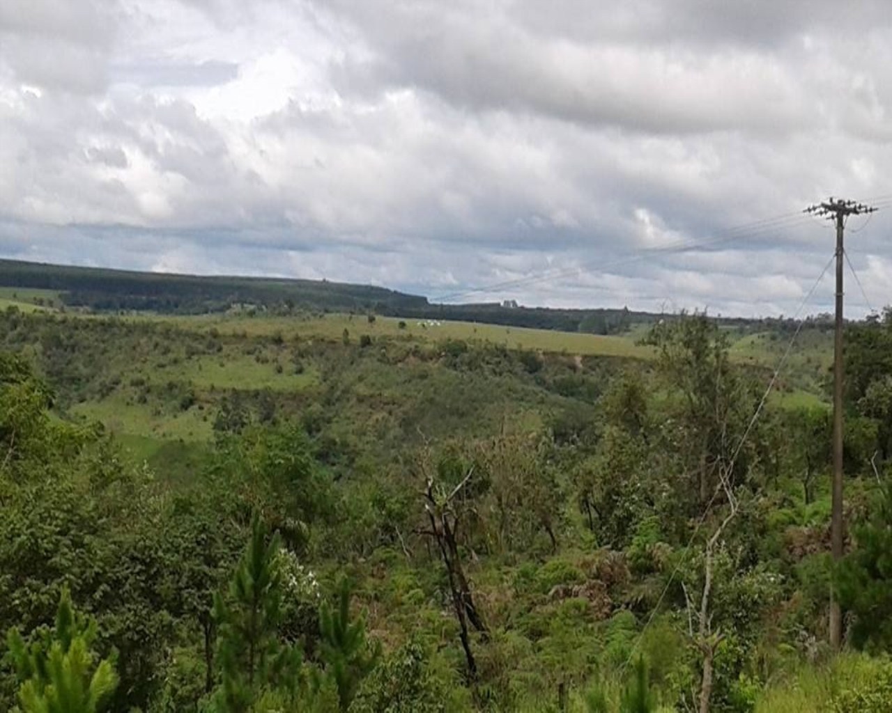 Fazenda - Foto 8