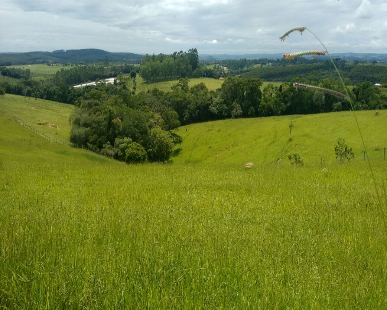 Sítio à venda - Foto 8