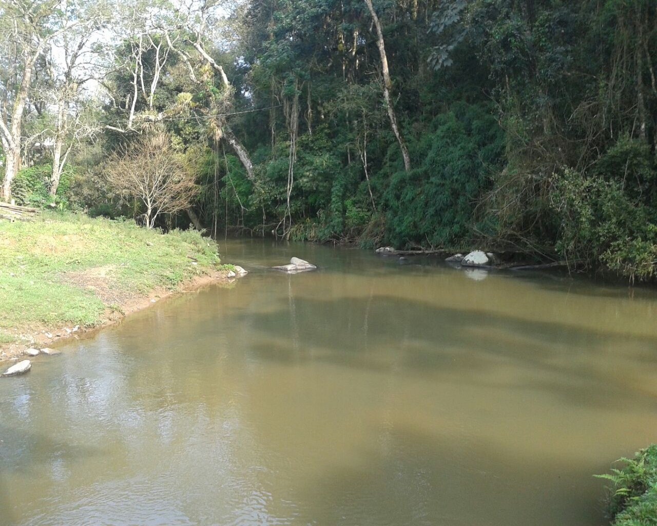 Fazenda à venda - Foto 5