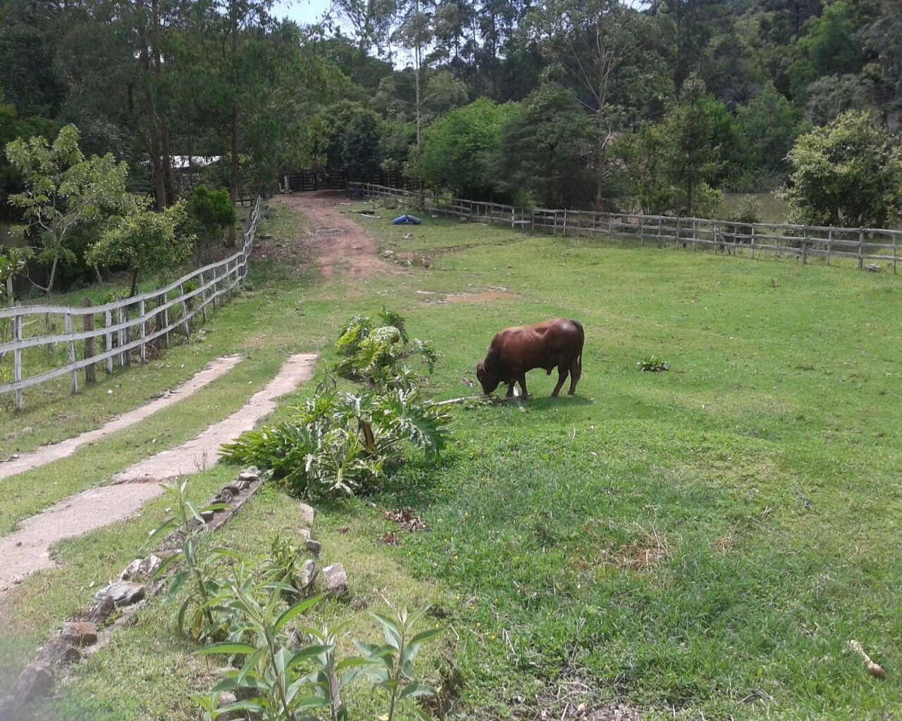 Fazenda à venda - Foto 6