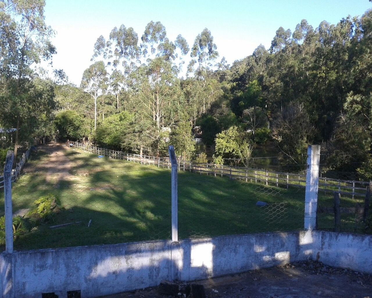 Fazenda à venda - Foto 7