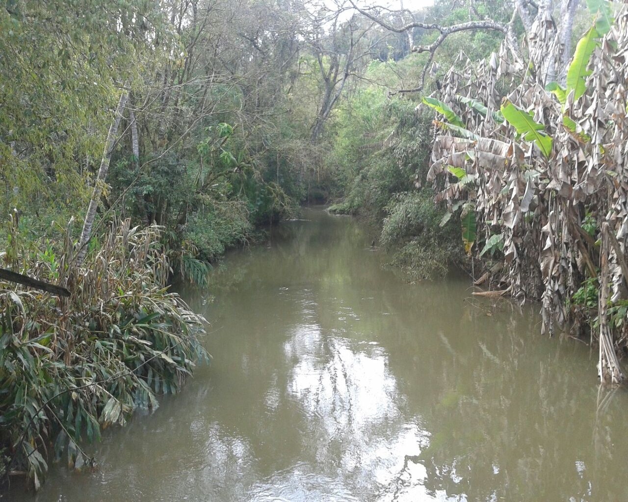 Fazenda à venda - Foto 8