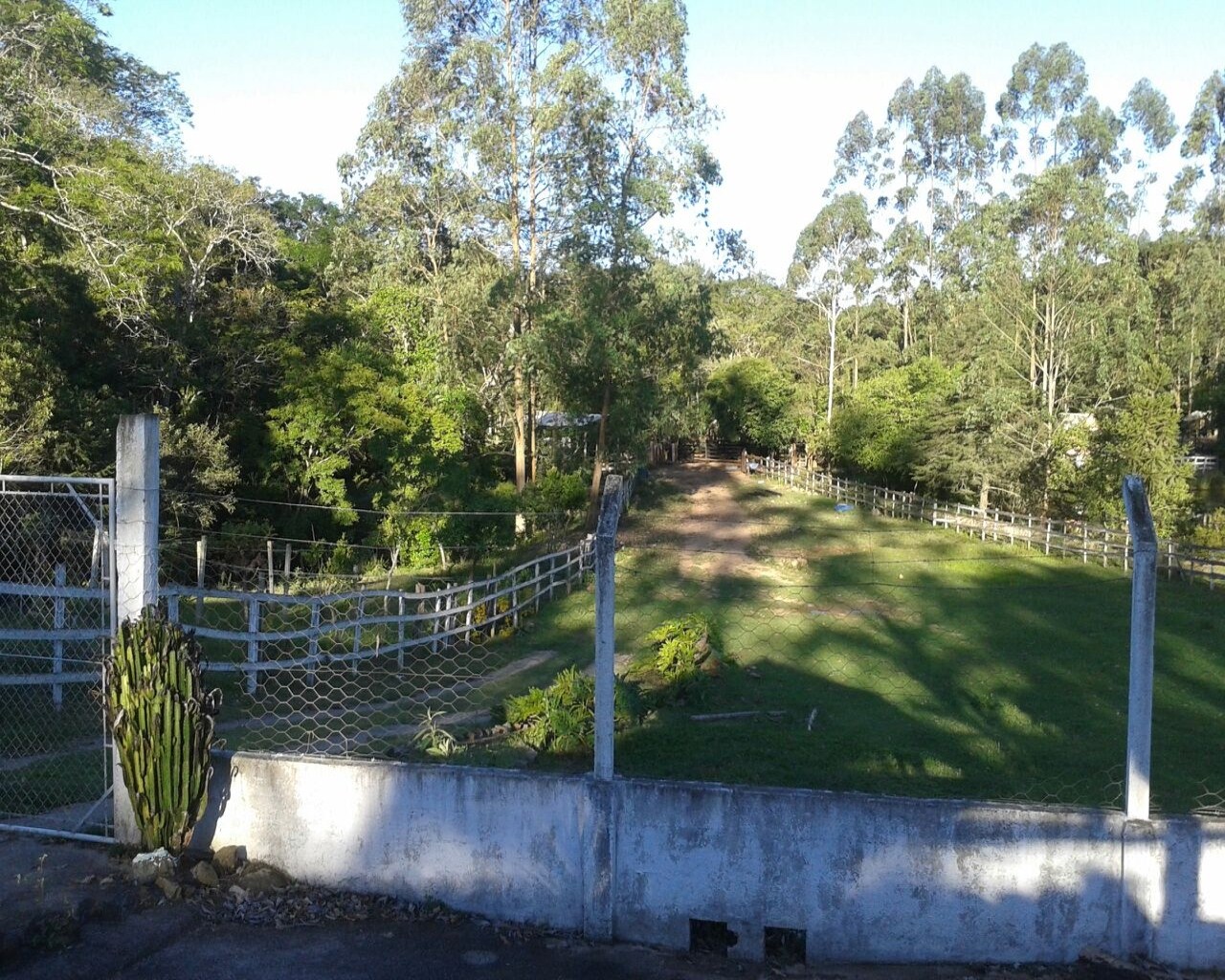 Fazenda à venda - Foto 17