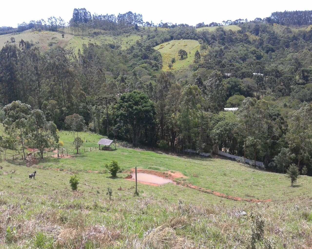 Fazenda à venda - Foto 19