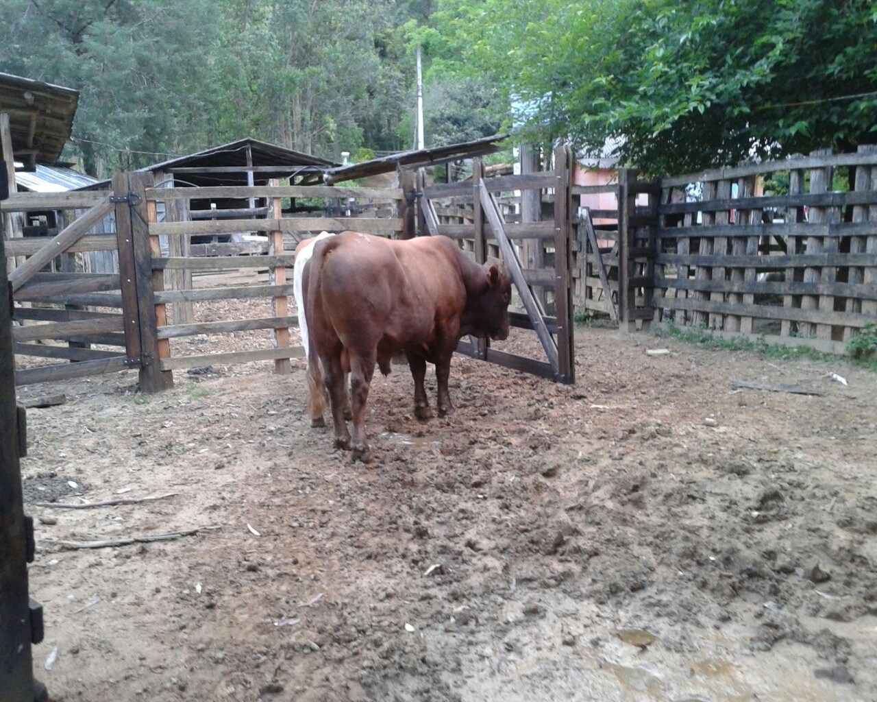 Fazenda à venda - Foto 24