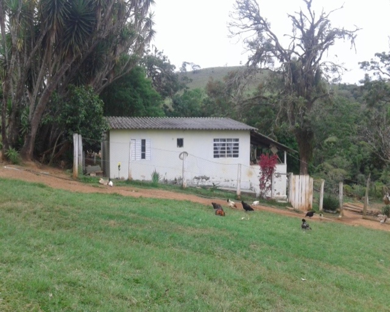 Fazenda à venda - Foto 4