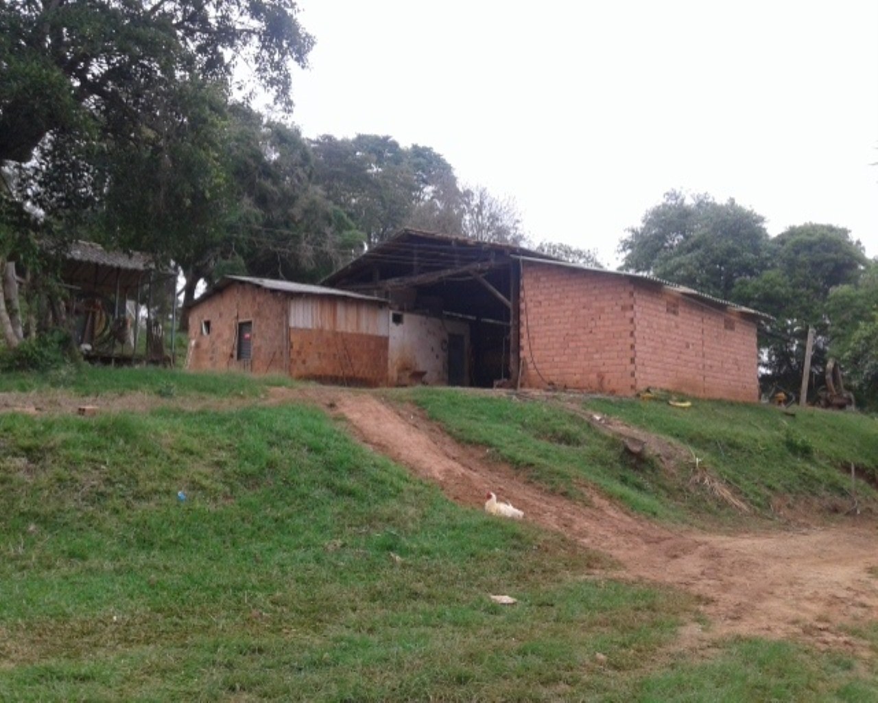 Fazenda à venda - Foto 5