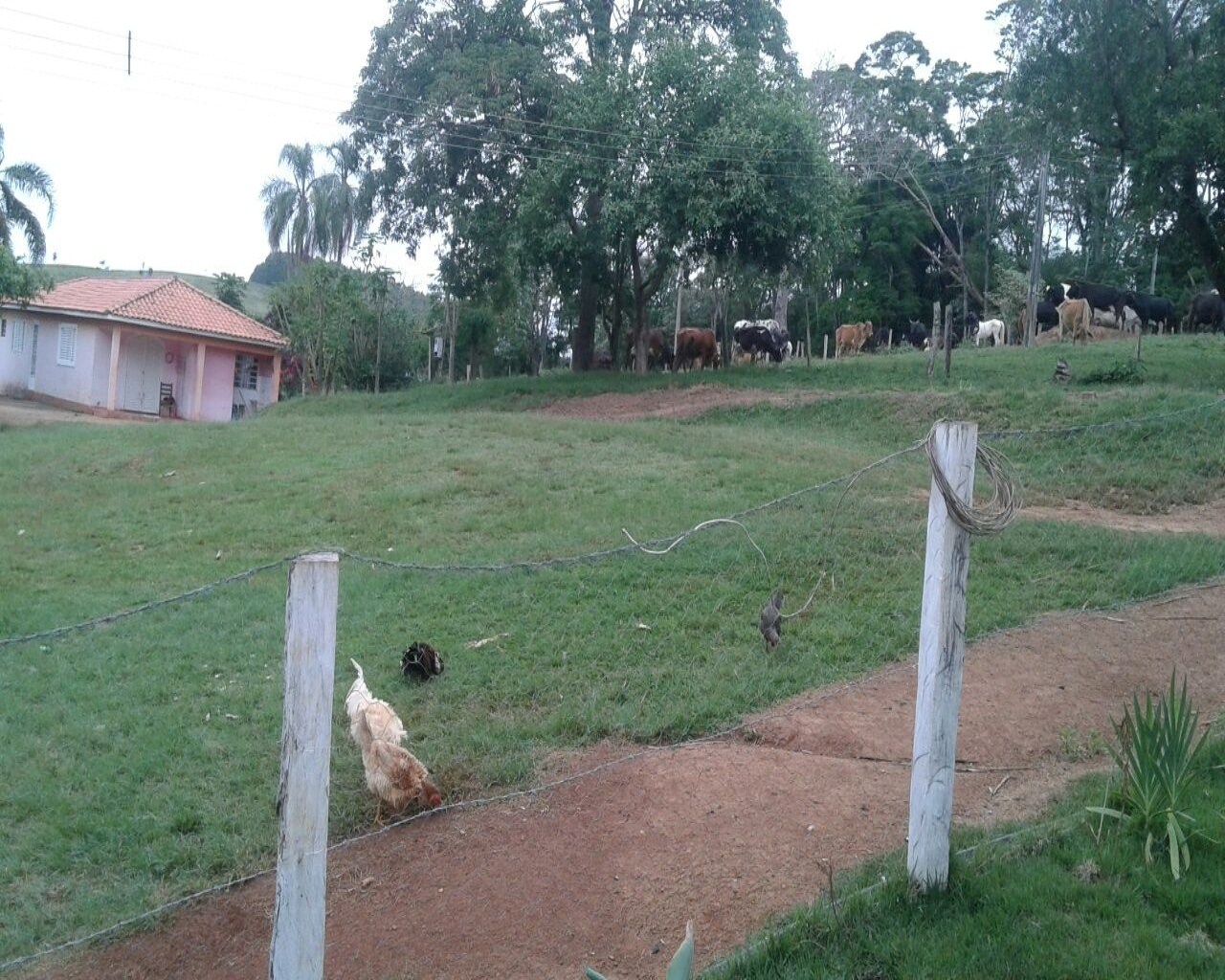 Fazenda à venda - Foto 7