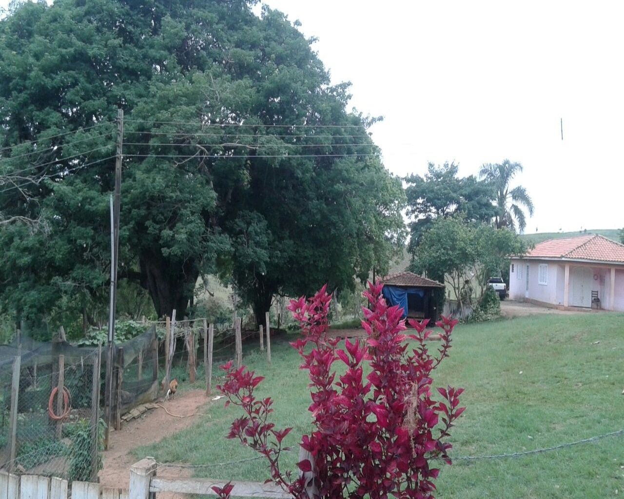 Fazenda à venda - Foto 8