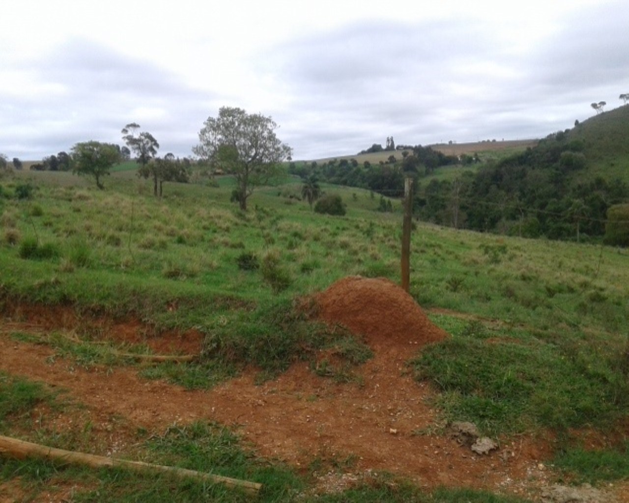 Fazenda à venda - Foto 9