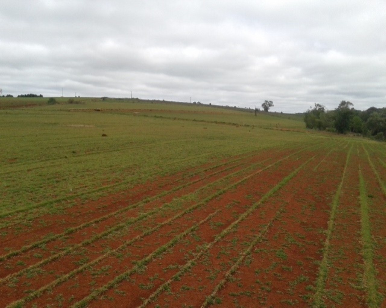 Fazenda à venda - Foto 1