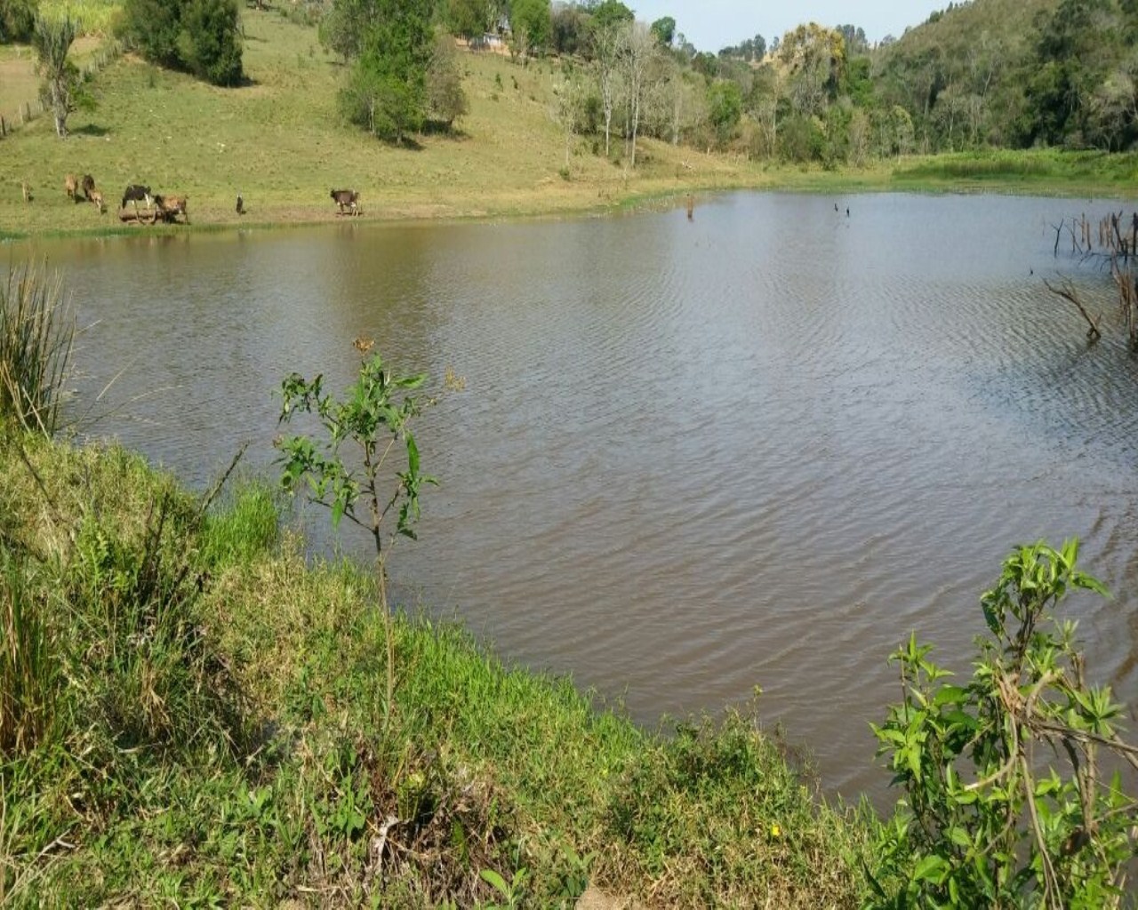 Fazenda à venda - Foto 10