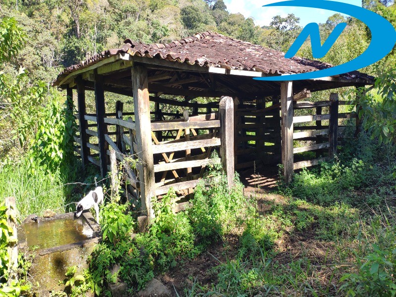 Fazenda à venda com 10 quartos, 90m² - Foto 5