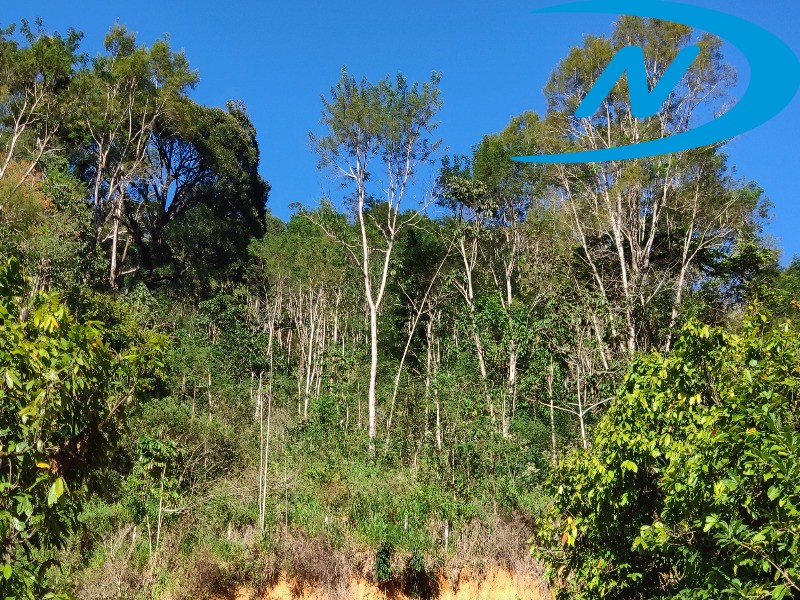 Fazenda à venda com 10 quartos, 90m² - Foto 24