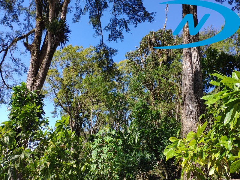 Fazenda à venda com 10 quartos, 90m² - Foto 36