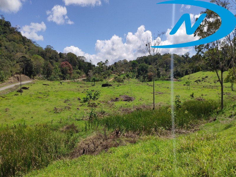 Fazenda à venda com 5 quartos, 130m² - Foto 6