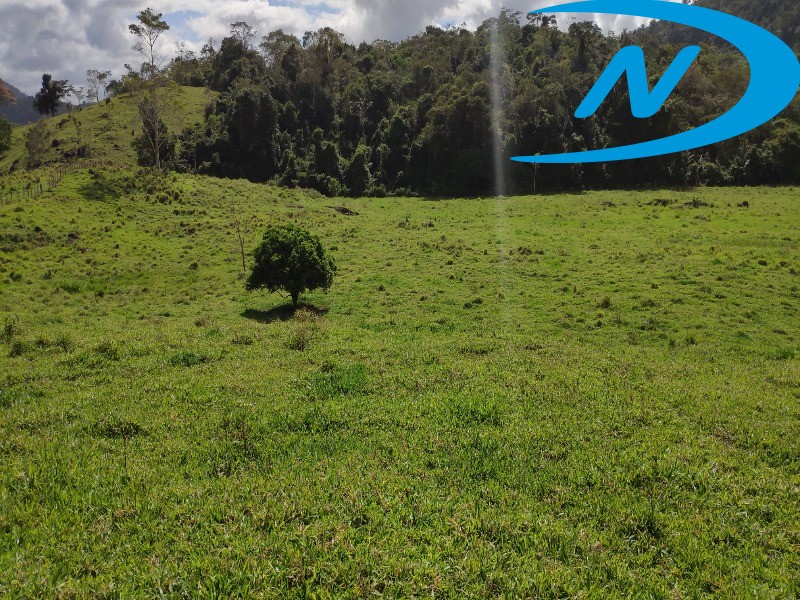 Fazenda à venda com 5 quartos, 130m² - Foto 20