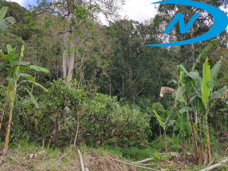 Fazenda à venda com 5 quartos, 130m² - Foto 10