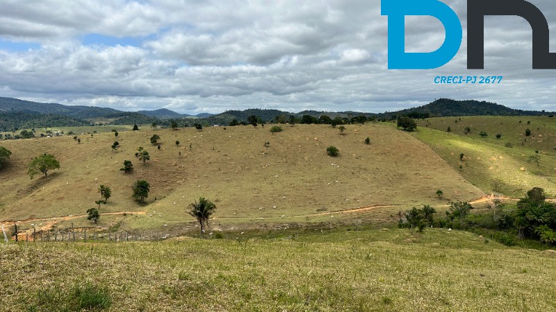 Fazenda à venda com 3 quartos, 320m² - Foto 30