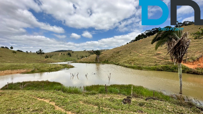 Fazenda à venda com 3 quartos, 320m² - Foto 3