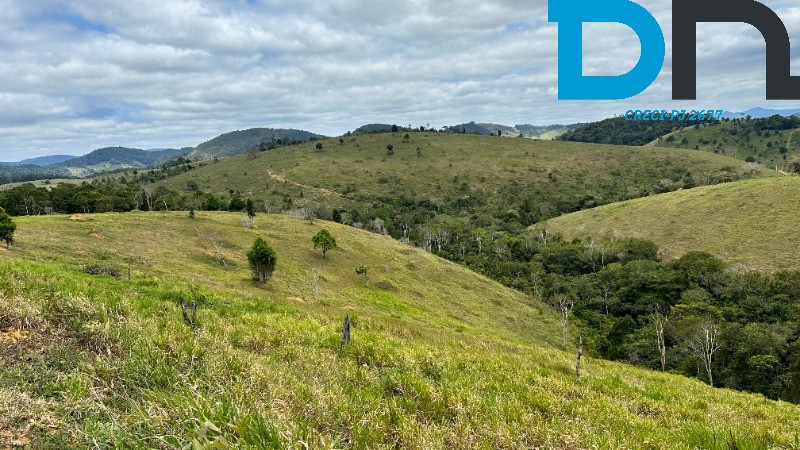 Fazenda à venda com 3 quartos, 320m² - Foto 38