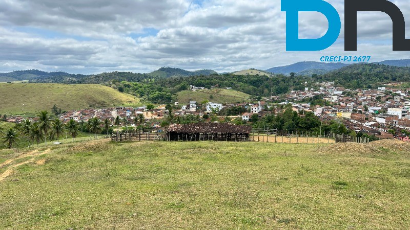 Fazenda à venda com 3 quartos, 320m² - Foto 6