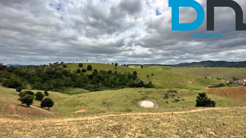 Fazenda à venda com 3 quartos, 320m² - Foto 21