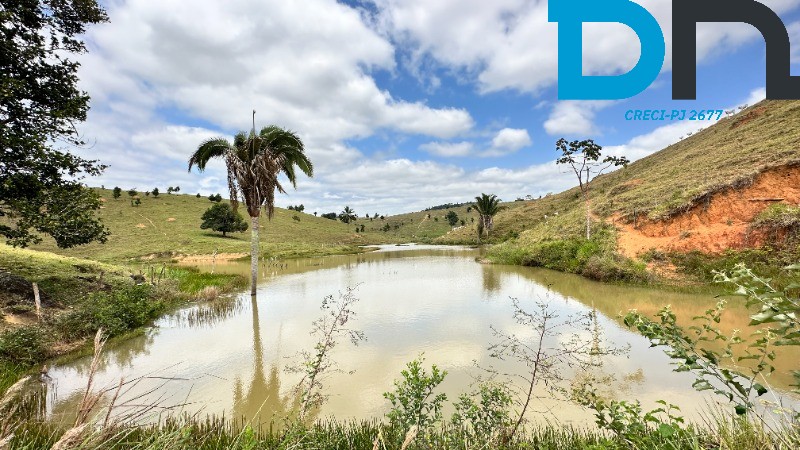 Fazenda à venda com 3 quartos, 320m² - Foto 2