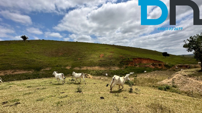 Fazenda à venda com 3 quartos, 320m² - Foto 10