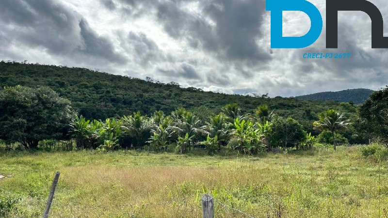 Fazenda à venda com 4 quartos, 56m² - Foto 35