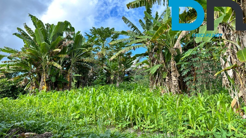 Fazenda à venda com 4 quartos, 56m² - Foto 38