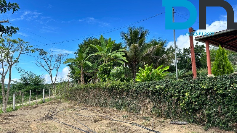 Fazenda à venda com 4 quartos, 56m² - Foto 9