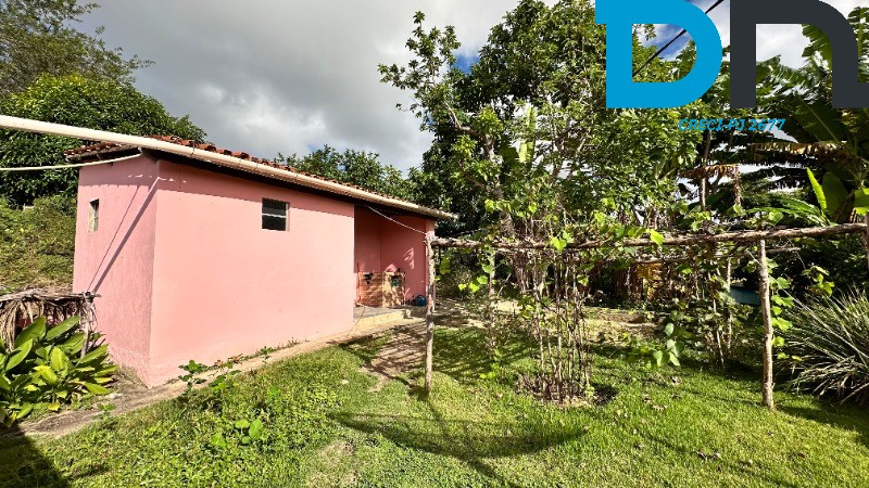 Fazenda à venda com 4 quartos, 56m² - Foto 22